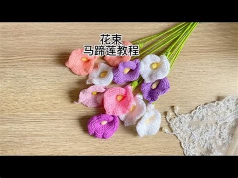 馬蹄寓意|幸運馬蹄的神奇力量